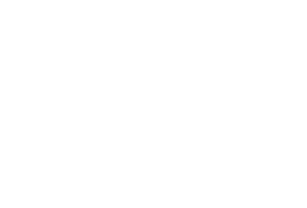 Questus